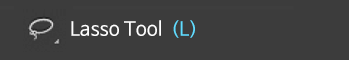 lasso tool (l)